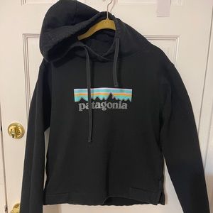 Patagonia Women’s Medium Hoodie Pastel Logo EUC
